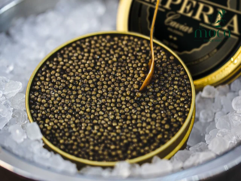 The Big Three of caviar — Beluga, Ossetra, and Sevruga, each a world of flavor