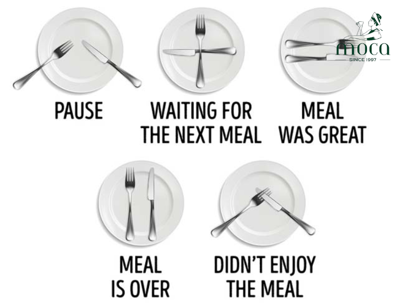 식기 배치의 언어를 마스터하세요 — 각 위치가 당신의 서비스 의도를 전달합니다.